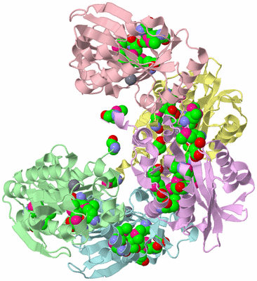 Image Biological Unit 11