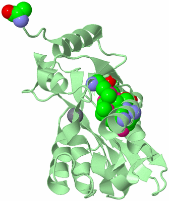 Image Biological Unit 2