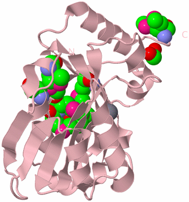 Image Biological Unit 3