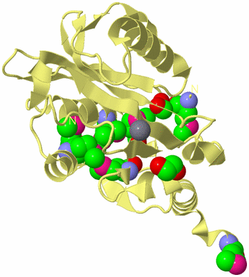 Image Biological Unit 4