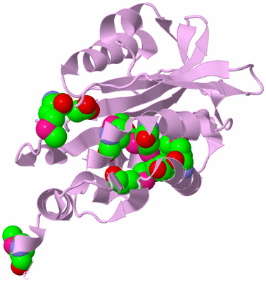 Image Biological Unit 5