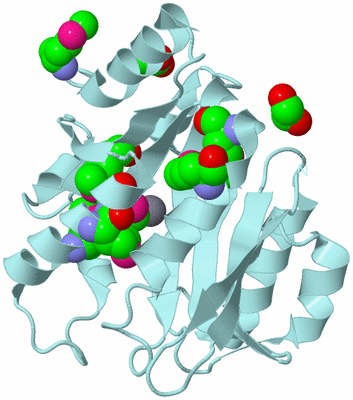 Image Biological Unit 6