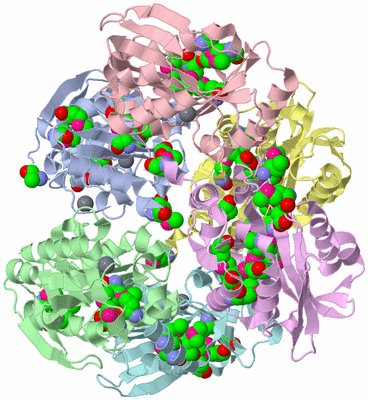 Image Biological Unit 7