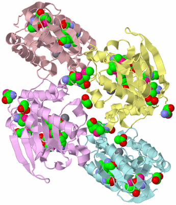 Image Biological Unit 8