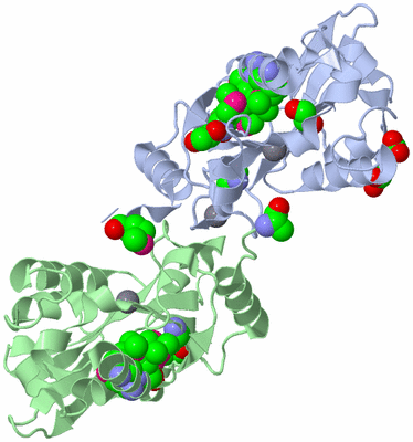 Image Biological Unit 9