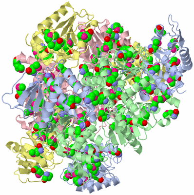 Image Biological Unit 1