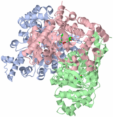 Image Biol. Unit 1 - sites