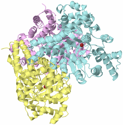 Image Biological Unit 2