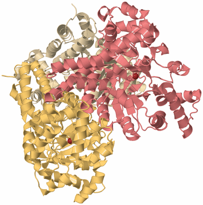 Image Biological Unit 3