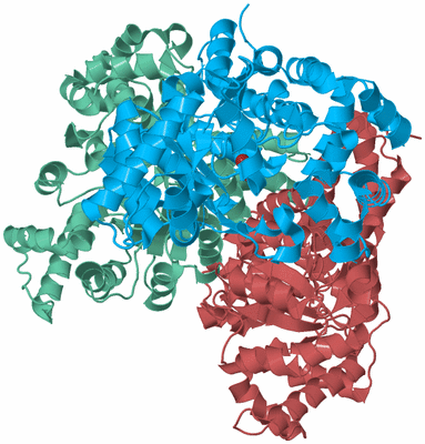 Image Biological Unit 4