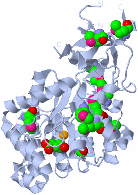 Image Biological Unit 1