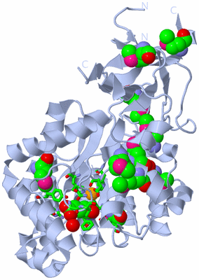 Image Biol. Unit 1 - sites