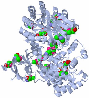 Image Biological Unit 2