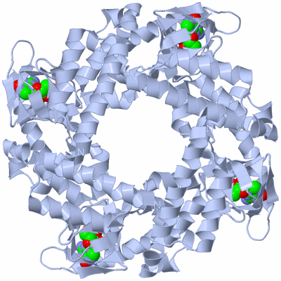 Image Biological Unit 1