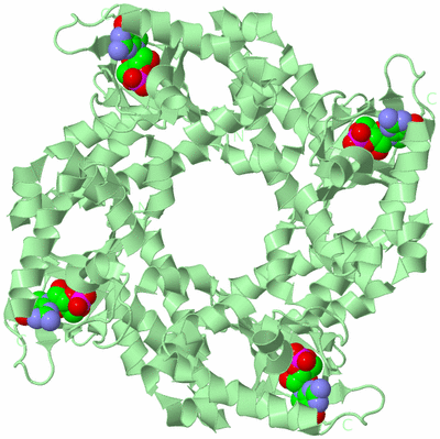 Image Biological Unit 4