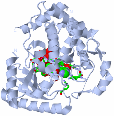 Image Biol. Unit 1 - sites