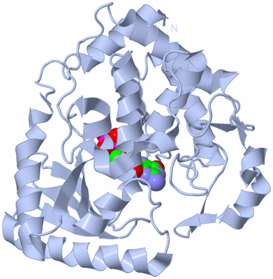 Image Biological Unit 1