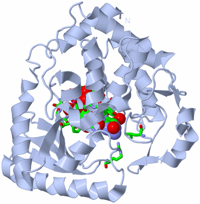 Image Biol. Unit 1 - sites