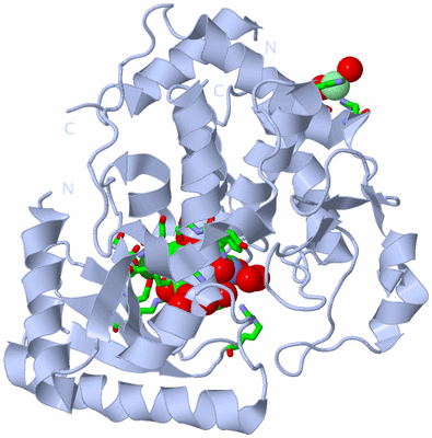 Image Biol. Unit 1 - sites