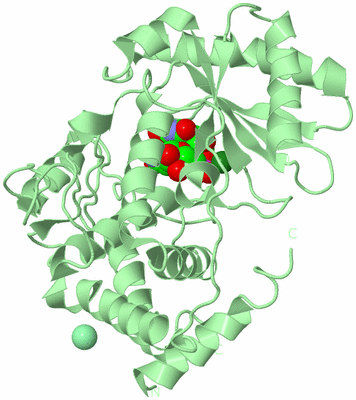 Image Biological Unit 2