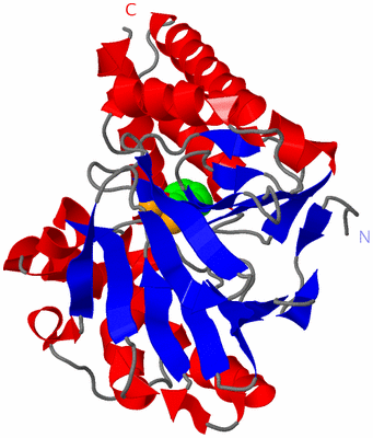 Image Asym./Biol. Unit