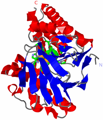 Image Asym./Biol. Unit - sites