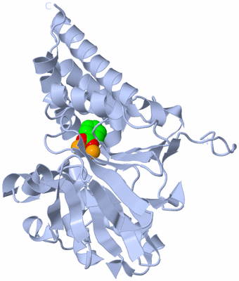 Image Biological Unit 1