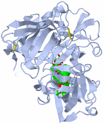 Image Biol. Unit 1 - sites