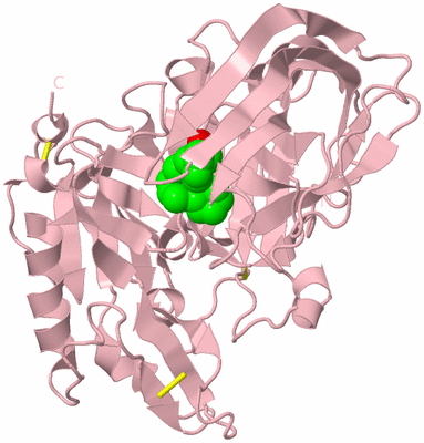 Image Biological Unit 3