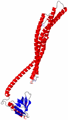 Image Asymmetric Unit