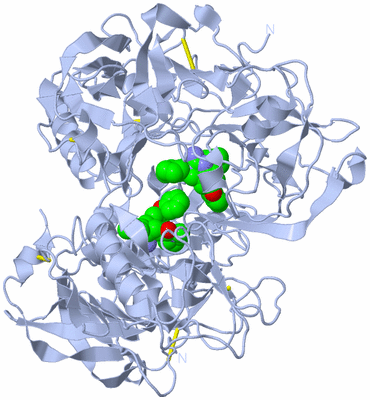 Image Biological Unit 1