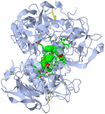 Image Biol. Unit 1 - sites