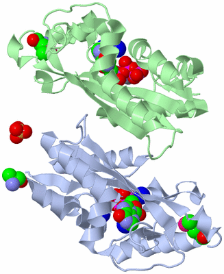 Image Asym./Biol. Unit