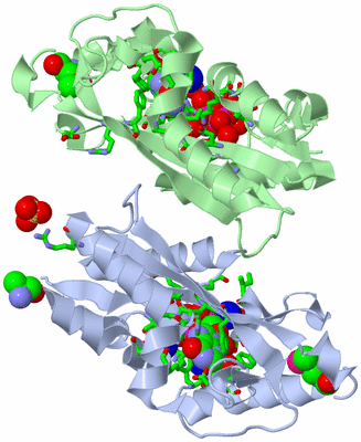 Image Asym./Biol. Unit - sites