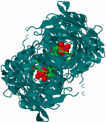 Image Biol. Unit 1 - sites