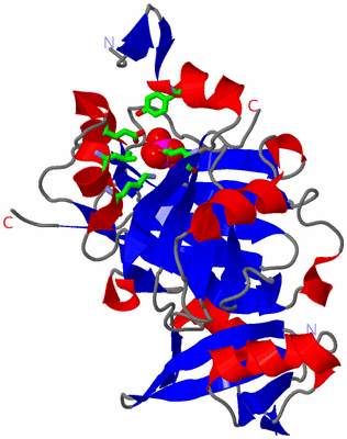 Image Asym. Unit - sites