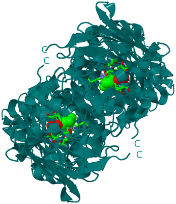 Image Biol. Unit 1 - sites