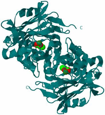 Image Biological Unit 2