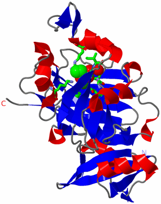 Image Asym. Unit - sites