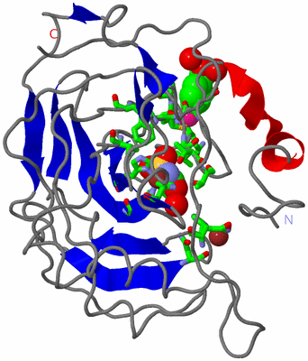 Image Asym./Biol. Unit - sites