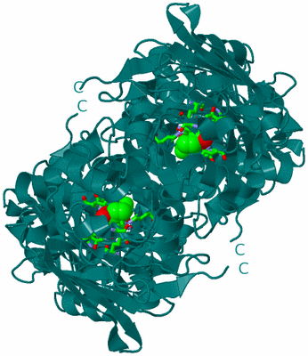 Image Biol. Unit 1 - sites