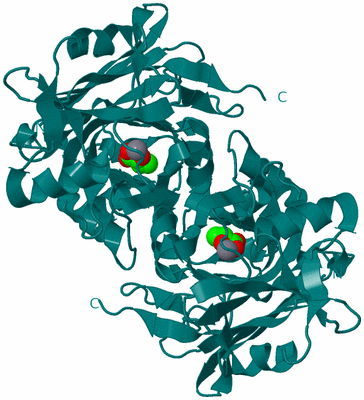 Image Biological Unit 2