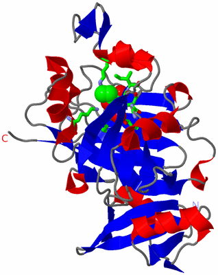 Image Asym. Unit - sites