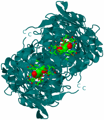 Image Biol. Unit 1 - sites