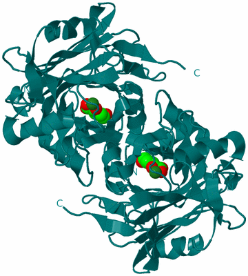 Image Biological Unit 2