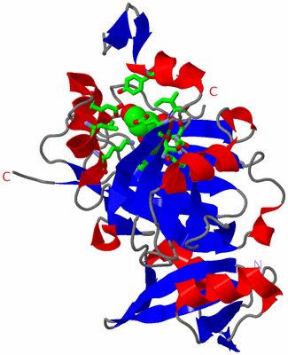 Image Asym. Unit - sites