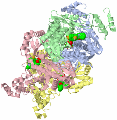 Image Asym./Biol. Unit