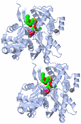 Image Biological Unit 1