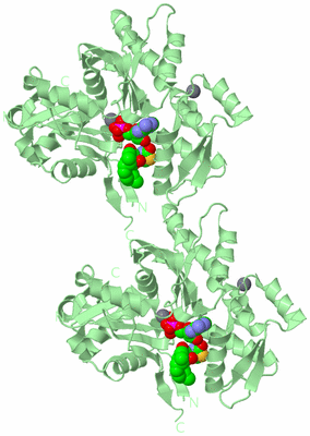 Image Biological Unit 2