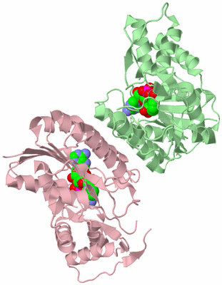 Image Biological Unit 1